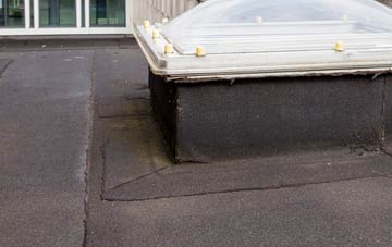 disadvantages of Bleadney flat roofs