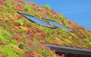 Bleadney living roof systems